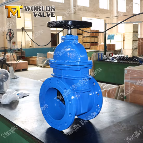 BS5163 Awwa C515 C509 DIN3202 F4 F5 GOST Kr JIS as Wras CE Ggg40/50 Ductile Cast Iron Resilient Rubber Seat Seated Double Flange Flanged Wedge Water Gate Valves